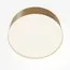Maytoni Technical C032CL-24W4K-RD-MG Светильник потолочный светодиодный Zon, изображение 2