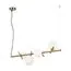 Freya FR5259PL-04BS Светильник подвесной Blossom, изображение 3