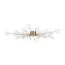 Freya FR5242CL-24BS1 Люстра потолочная Celebrity, изображение 4