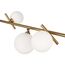 Freya FR5259PL-04BS Светильник подвесной Blossom, изображение 2