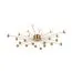 Freya FR5242CL-24BS Люстра потолочная Celebrity, изображение 5