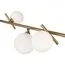 Freya FR5259PL-04BS Светильник подвесной Blossom, изображение 2