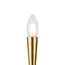 Freya FR5253WL-02BS Бра Branches, изображение 3