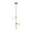 Freya FR5259PL-02BS Светильник потолочный Blossom