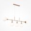 Freya FR5259PL-04BS Светильник подвесной Blossom, изображение 6