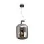 Freya FR6186PL-L7SM2 Светильник подвесной светодиодный Clod