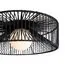 Freya FR5405CL-01B Светильник потолочный Cottage, изображение 5