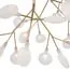Freya FR5049CL-36G Люстра потолочная Florencia, изображение 3