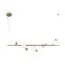 Freya FR5372PL-05BS Светильник подвесной Evidence