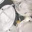 Freya FR5197PL-05CH Подвесной светильник Sophia, изображение 5