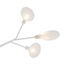 Freya FR5049CL-36W1 Потолочная люстра Florencia, изображение 2