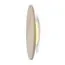 Freya FR5482WL-L8BG Светильник настенно-потолочный светодиодный Sunspot, изображение 5