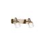 Freya FR7003WL-02BZ Спот Arlette