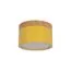 LOFT IT 10162 Yellow Накладной светильник Grape