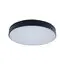 LOFT IT 10002/24 Black Потолочный светильник Axel