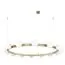 LOFT IT 10311/14 Подвесной светильник Hoop
