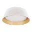 LOFT IT 10224 White Потолочный светильник Evans