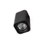 LOFT IT 10329 Black Накладной светильник Cup