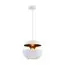 LOFT IT LOFT2213-A Подвесной светильник Apple