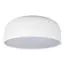 LOFT IT 10201/480 White Потолочный светильник Axel
