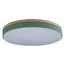 LOFT IT 10001/36 Green Потолочный светильник Axel