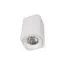 LOFT IT 10329 White Накладной светильник Cup