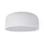 LOFT IT 10201/350 White Потолочный светильник Axel