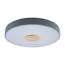 LOFT IT 10003/24 Grey Потолочный светильник Axel