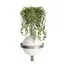 LOFT IT 10121W/B Dark grey Настенный светильник Jardin