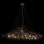LOFT IT 10067/1800 BK Подвесная люстра Bijout