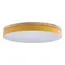 LOFT IT 10001/36 Yellow Потолочный светильник Axel