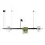 LOFT IT 10121/D Dark grey Подвесной светильник Jardin