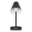 LOFT IT 10216/1W Black Настенный светильник Shelf