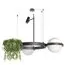 LOFT IT 10121/2 Dark grey Подвесной светильник Jardin