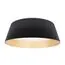 LOFT IT 10224 Black Потолочный светильник Evans