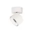 LOFT IT 10323/A White Накладной светильник Focus
