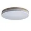 LOFT IT 10001/36 White Потолочный светильник Axel