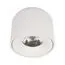 LOFT IT 10219 White 4000K Потолочный светильник Tictac
