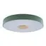 LOFT IT 10003/24 Green Потолочный светильник Axel