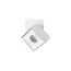 LOFT IT 10323/B White Накладной светильник Focus