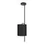 LOFT IT 10253P Black Подвесной светильник Ritz