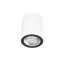 LOFT IT 10344 White Накладной светильник Rush