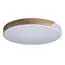 LOFT IT 10004/36 White Потолочный светильник Axel