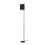 LOFT IT 10253F/A Black Торшер Ritz