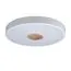 LOFT IT 10003/24 White Потолочный светильник Axel
