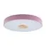LOFT IT 10003/24 Pink Потолочный светильник Axel