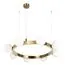 LOFT IT 10311/8 Подвесной светильник Hoop