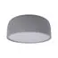 LOFT IT 10201/350 Grey Потолочный светильник Axel
