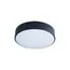 LOFT IT 10002/12 Black Потолочный светильник Axel