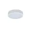 LOFT IT 10002/12 White Потолочный светильник Axel